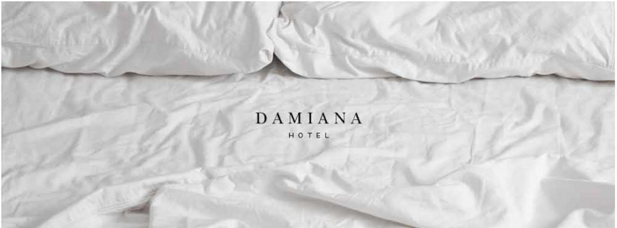 Hotel Damiana Boutique Querétaro Dış mekan fotoğraf